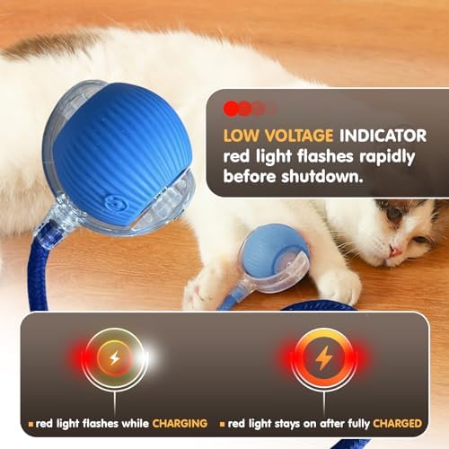 Rocfish Durable Interactive Cat Toys for Indoor Cats (blue01, 01)