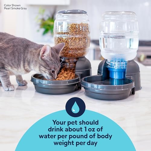 Petmate Replendish Automatic Dog Water Dispenser, 4 Gal, 2 Filters