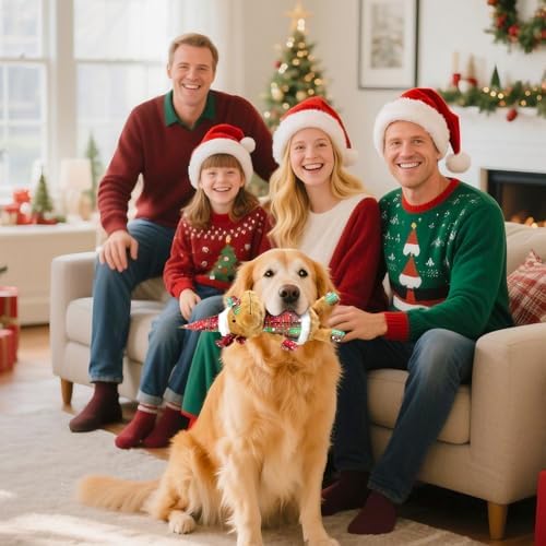 Christmas Dog Toy Squeaky Interactive Dog Toys Indoor Outdoor Play