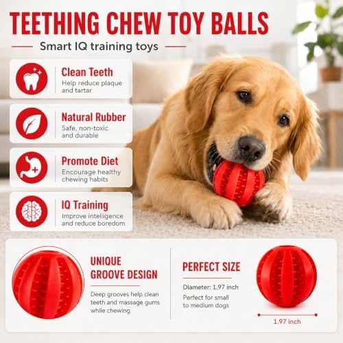 GASHIK Dog Treat Ball for Dogs, Rubber Dental Chew Toy for Dogs