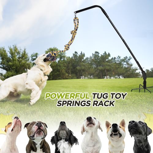 AugFir Tether Outdoor Dog Rope Toy with Strengthen Spring Pole, 3 Kinds Dog Tug of War Toys for Self Play and Interactive in Park, Yard, Lawn Rope, Suitable for Large Medium Small Dogs (Black)