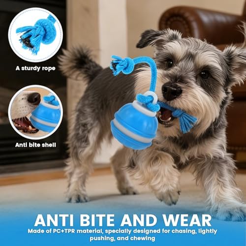 Interactive Dog Toy with Rope, 2026 Upgraded 3 Modes 360° Smart Automatic Rolling Moving Rechargeable Moving Fetch Dog Toy Ball for Boredom(Blue)