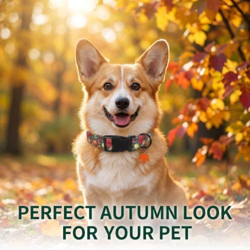 Fall Dog Collar, Dog Collar for Large Dogs, L