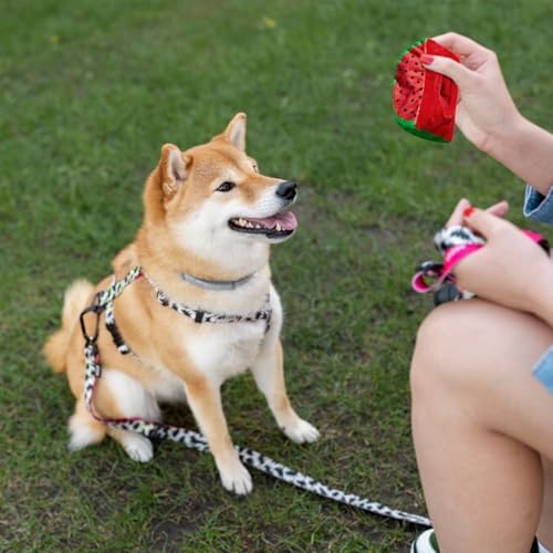 Andiker Dog Squeaky Toy with Plush Crinkle Fabric and Puppy Tennis Balls Inside, Cute Fruit Shapes Creative Dogs Chew Toy Interactive Dog Toys for Indoor Dogs Chasing Chewing Entertaining (Red)