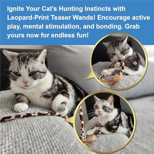 PetLike 25pcs Interactive Cat Toys Set Collapsible Cat Tunnel Interactive Feather Teaser Wand,Spring Toys & Balls for Indoor Cats (Black, 25x55cm)