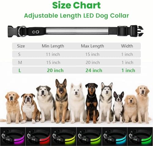 Auto Light Up Dog Collar - Smart Safety Night Collar with Motion Sensor - Auto-On in Dark - USB-C Rechargeable - 3 Day Runtime- IP65 Waterproof (L 20-24")