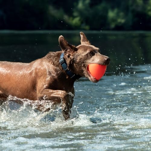 Ruff Dawg Indestructible Dawg-X XL – Heavy-Duty Solid Rubber Fetch Toy for Dogs 40 lbs & Up – Crazy Bounce & Floats – Made in USA – Assorted Neon Colors
