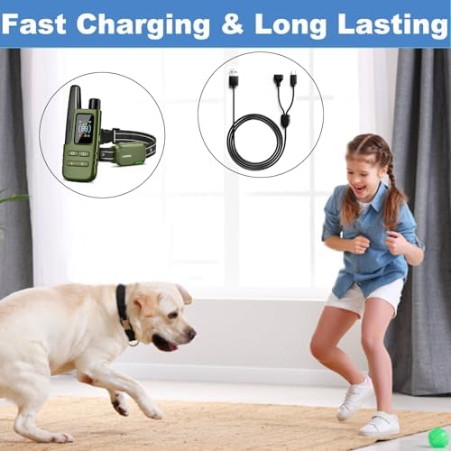Charger Cable for Jugbow/Delupet/Yawpet Dog Collar DT-61/66/67/68/72/73 Training Collar and Remote