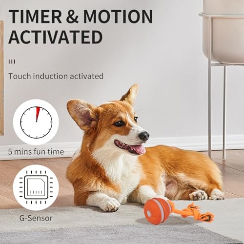 Interactive Dog Toys Dog Ball,Automatic Rolling and Bouncing Moving Dog Toy