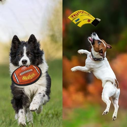 Squeaky Flying Discs for Small Med Dogs 2-Pack Fetch Gear
