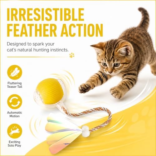 Interactive Cat Toy Ball with LED Lights – USB-C Rechargeable Automatic Cat Toy with Feather Tail for Indoor Cats & Kittens, Upgraded Version
