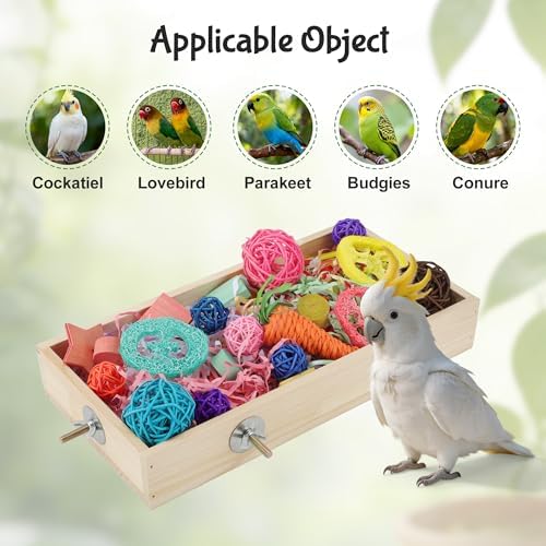Bird Foraging Toys Box, Wooden Foraging for Birds, Colorful, L