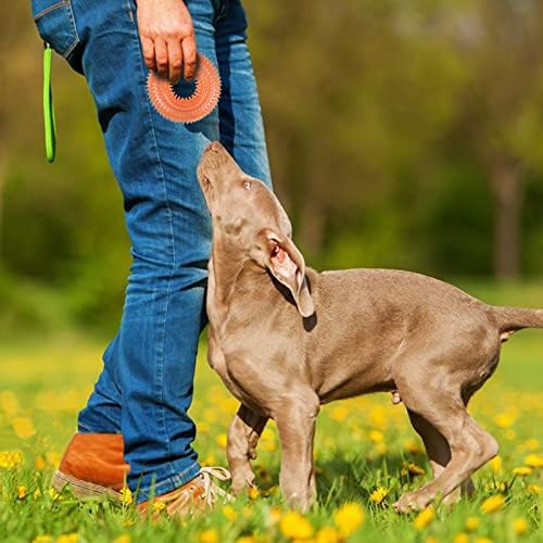 Andiker Squeaky Dog Toy, TPR Chewable Dog Toys for Teeth Grinding&Cleaning Dogs Fetch Toys for Enhancing Interactivity Outdoor Suitable for All Dog Sizes Puppy’s Gifts and Dog Lovers (Large Orange)