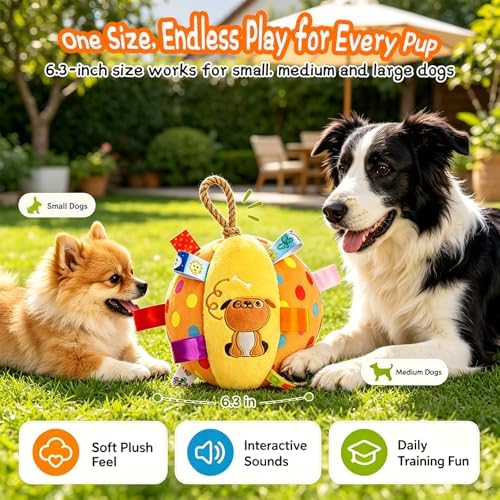Squeaky Play Balls for Dogs - 6-inch Soft Puppy Ball with Bell