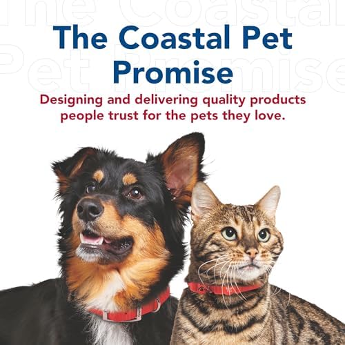 Coastal Pet - Turbo Pet Cat Bundle - Teaser Cat Toy & Scratcher Cat Toy