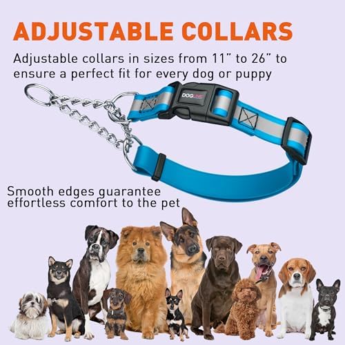 Dogline Reflective Martingale Collar for Dogs with Quick Release Buckle – Biothane Dog Collar with Herm Sprenger Assembly Chain – Waterproof No Pull Dog Collar, L 14”-20”, Cerulean Blue