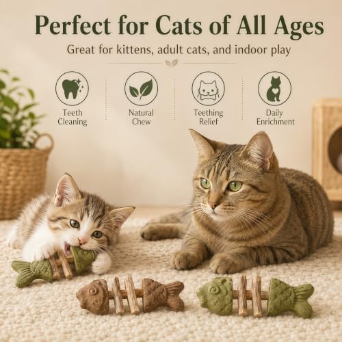 Catnip and Silvervine Chew Toy for Cats (3 PCS, Mixed Flavor)