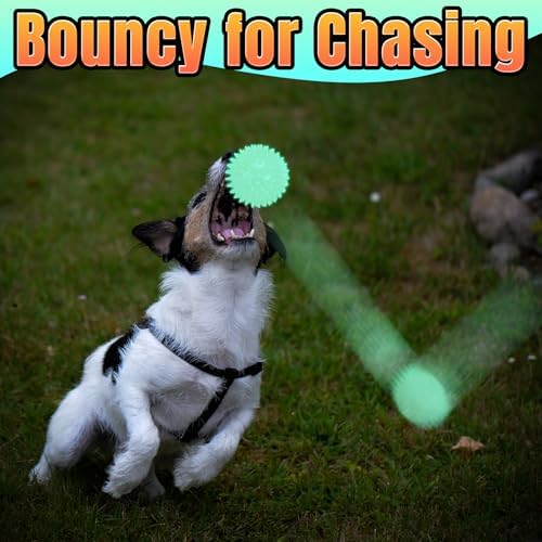 LECHONG 6-Pack Glow in The Dark Squeaky Dog Balls, Spiky Dog Toy Balls, Durable Glowing Rubber Fetching Ball for Small & Medium Dogs Nighttime Playing Indoors & Outdoors