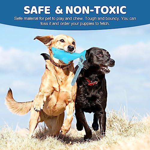 Floating Dog Chew Toy for Aggressive Chewers, Pool With Rope for Interactive Fetch & Play, Beach Set (Shark)