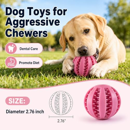 GASHIK Dog Treat Ball for Dogs, Rubber Dental Chew Toy for Dogs