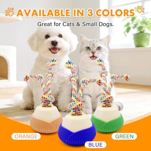Interactive Cat Toy, 360° Rotating Automatic moving cat toys, Voice Recordable Auto Rolling Pet Toy with LED Sound & Music, Rechargeable Interactive Cat Toys for Indoor Cats & Small Dogs (ORANGE)