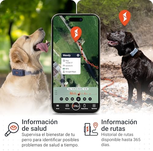 4G Dog GPS Tracker with Real-Time Location, Runaway Alerts, Activity Monitoring App, Waterproof Design & Rechargeable LED Dog Collar with 7 Color Modes, 27-Month Subscription Included – Black Bundle