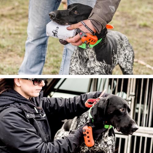 DT SYSTEMS RAPT1450 Upland Beeper E-collar - Compact Adjustable Expandable Remote Dog Trainer, 1400-Yard Range - Rechargeable Waterproof Collar & Floating Remote/Transmitter