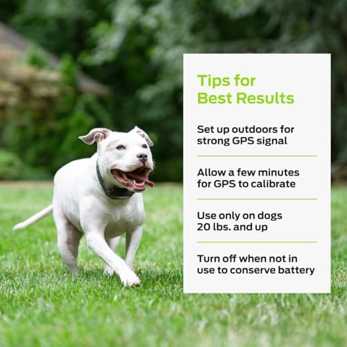 Premier Pet GPS Dog Fence with Circular Boundary