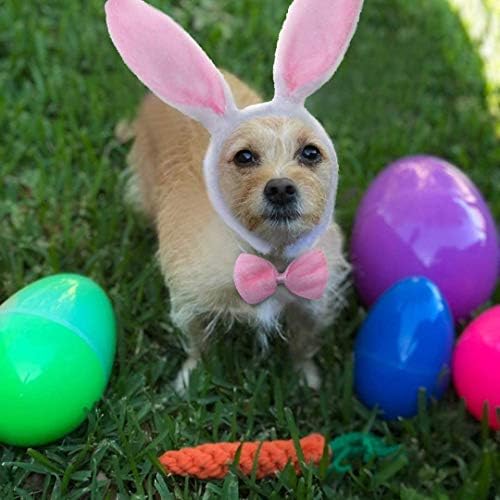 BoomBone Easter Dog Toys for Small Dogs 2 Pack, Carrot Dog Rope Toy and Bunny Crinkle Puppy Toy