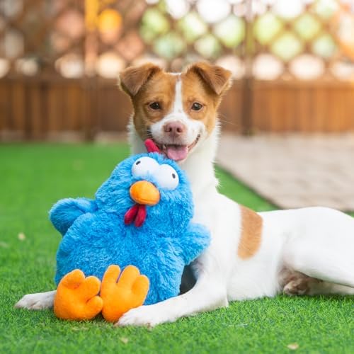 Best Pet Supplies Squeaky Plush Dog Toy - Mrs. Cluck, Blue | Soft Plush, Squeaks & Crinkles, Perfect for Moderate Chewers, Toss & Fetch Play, Stress & Anxiety Reliever, Ideal Gift Toy
