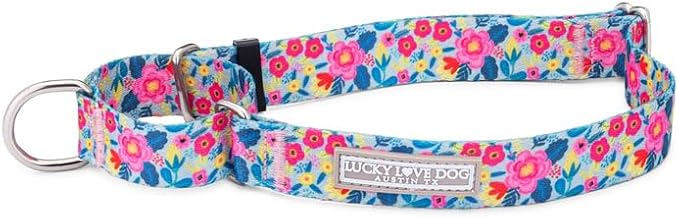 Lucky Love Dog Martingale Collar for Medium Dogs Cute – Valentina, Medium