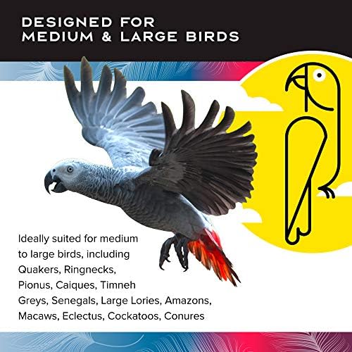 Featherland Paradise - Creative Foraging Systems Bird Cage Feeder (Gen II) - Extra Large- Intermediate Level Foraging Wheel - Interactive Bird Feeder for Large Birds