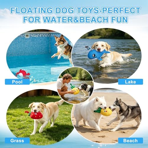 BEAUTYZOO Floating Dog Pool Toys 2 Pack,Squeaky Water Fetch Toys for Summer
