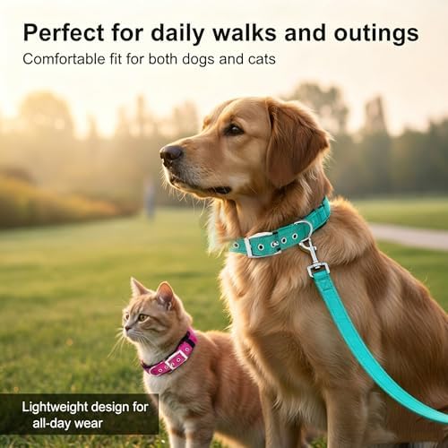 Reflective Dog Collar for Medium Dogs Wide Padding 6 Holes Adjusta