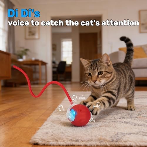 Cat Toy, Electric Interactive Toys for Indoor Cats, Red