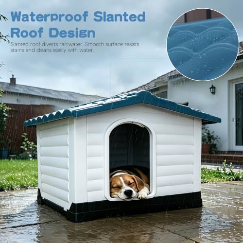 2-Door Small Dog House with Fold-Out Porch and Elevated Base, Blue