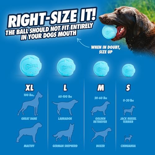 Chuckit! Rebounce Ball Dog Toy, Medium 2.5 Inch, for Dogs 20-60 lbs, Blue
