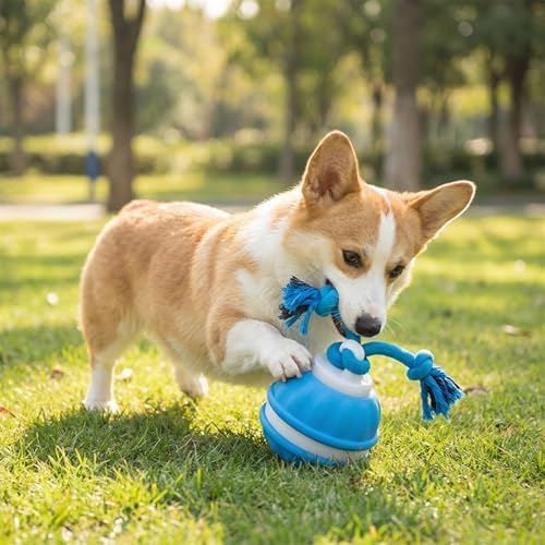 Winb Interactive LED Dog Ball (4 inch)- USB Rechargeable Motion-Activated Rolling Toy for Small to Large Dogs, Dogs Ball Play and Wicked Fun, Squeaky Sound & Stimulation, Blue