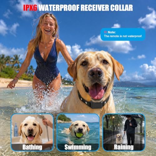 2-in-1 Wireless Dog Fence & Training Collar,300M Range,16 Boundary Levels,Rechargeable Collar with Beep,Vibration & Gentle Static Guidance,IPX6 Waterproof for Small Medium Large Dogs