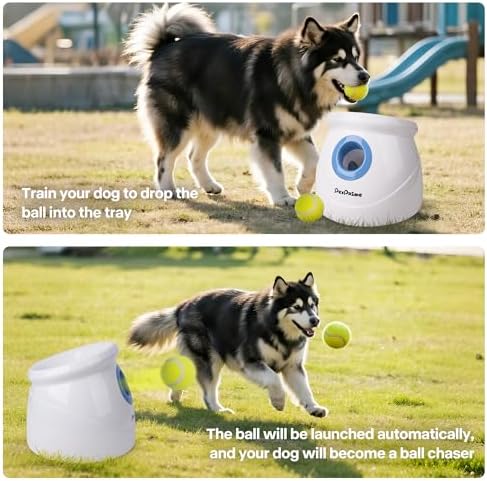 Pet Prime Automatic Ball Launcher for Large Dogs,Adjustable 10-40ft Distance,Rechargeable Dog Ball Thrower with 6 Tennis Balls(2.5") & Training Whistle,Interactive Toy for Indoor/Outdoor Play
