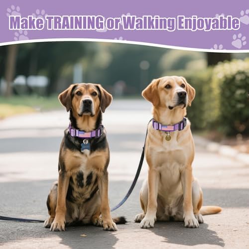 Martingale Dog Collar Reflective NO Pull with USA Flag, Lavender, M