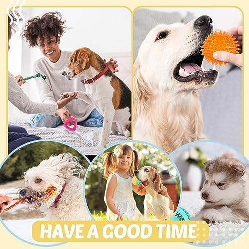LOYEE Puppy Toys 21 Pack, Small Dog Chew Toys with Rope Toys for Teething Pet Cute Squeak Toy with Treating Ball for Puppy, Small Dogs - 21 Pack