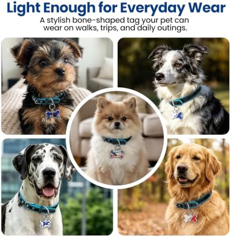 QR Code Pet ID Tag, Instant Scan-Based Location Alert, Updatable Pet Profile, Free Essential Features, No Subscription, Zinc Alloy Edge for Dogs Collar
