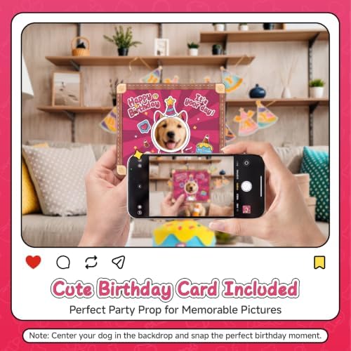 Dog Birthday Cake Toy Decorations, Larger Squeaky Plush Dog Cake Toys