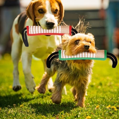 Kacctyen 4 Pack Jute Dog Tug Toys,11.8" Biting Pillows,2 Handles, Vibrant
