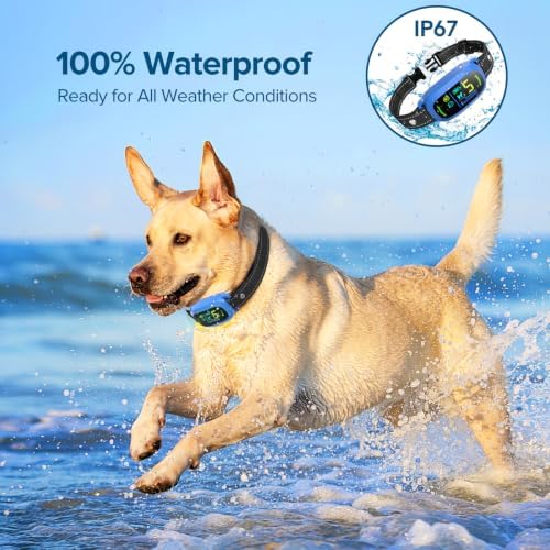 FAFAFROG Dog Bark Collar, Rechargeable Smart Collar, Anti Barking Training Collar with 5 Adjustable Sensitivity Beep Vibration, Bark Collar for Large Medium Small Dogs (Blue)