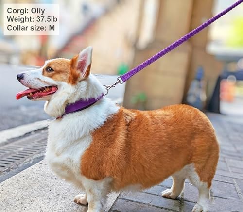 Reflective Dog Collar for Large Dogs Wide Padding 6 Holes Adjusta