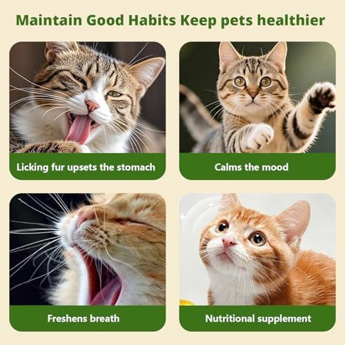 Catnip Toys, Catnip Toys for Cats, Tree-Shaped Cat Interactive Toy, Cat Toy for Bored Indoor Adult Cats, Suitable for Felines