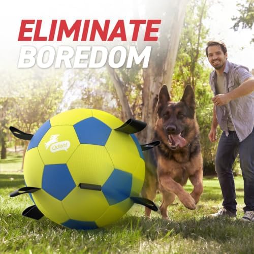 QDAN 25 Inch Herding Ball for Dog with Straps, Outdoor Dog Toys for Herding | Interactive Large Dog Herding Ball Chasing Training, Dog Ball for Border Collie, Australian Shepherd, Blue Heeler & Horses