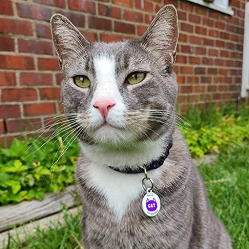 QR Code Dog Tag Personalized Pet Id Silent Cat Tags Engraved Name Plate with Online Profile («I’m Your Kitty»)